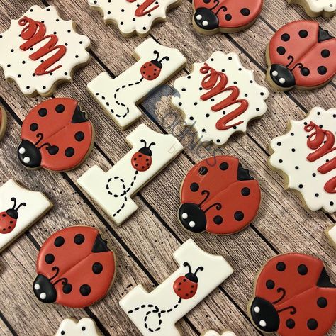 Love this first birthday set! 🐞🐞🐞. . . #happybirthday #happyfirstbirthday #birthdayparty #ladybug #ladybugs #polkadots #monograms… Ladybug Theme First Birthday, Lovebug Birthday Party, Love Bug Themed Birthday Party, Ladybug First Birthday Party Ideas, Ladybug Theme Party 1st Birthdays, Love Bug First Birthday, Ladybug Themed Birthday, Lady Bug First Birthday Ideas, 1st Birthday Ladybug Theme