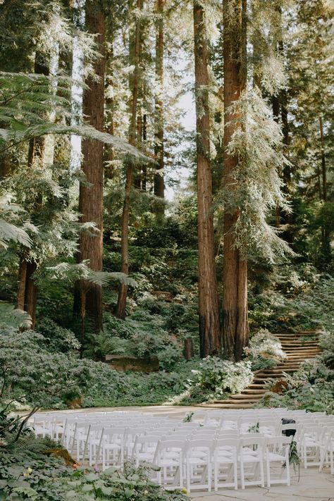 Redwood Wedding California, Outdoor Wedding Venues California, Nestldown Wedding, Wedding Venues Outdoor, Forest Wedding Venue, Redwood Wedding, Airbnb Wedding, Forest Theme Wedding, Pine Mountain