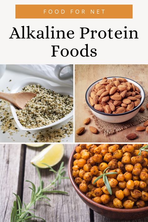 Alkaline Protein Sources, Alkaline Food Recipes, Foods High In Alkaline, Alkaline Protein, Lysine Foods, High Alkaline Diet, Alkaline Fruits And Vegetables, Alkaline Snacks, Alkaline Foods List