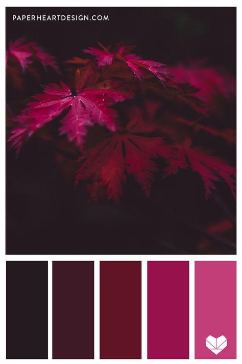 Purple And Red Color Scheme, Red Violet Color Palette, Color Palette Wine Red, Red Color Schemes Colour Palettes, Colours That Go With Red, Wine Red Color Palette, Purple Red Color Palette, Purple And Red Color Palette, Wine Colour Palette