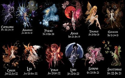 Zodiacs As Fairies, Zodiac Wands, Zodiac Fairies, Pisces Funny, Who Is My Soulmate, Zodiac Signs Animals, Dragon Zodiac, Pisces And Taurus, Zodiac Sign Fashion