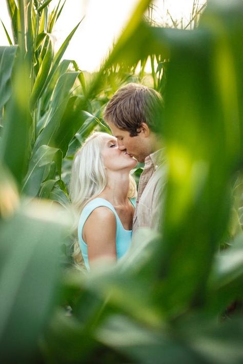 Farm Engagement Photos, Corn Field, Engagement Photos Country, Country Engagement, Photographs Ideas, Engagement Poses, Wedding Engagement Photos, Photo Couple, Wedding Pics