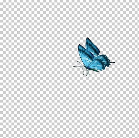 Butterfly Png Editing, Logo Butterfly, Teal Butterfly, Butterfly Png, Folder Icon, Instagram Frame Template, Background Images Hd, Cute Butterfly, Instagram Frame