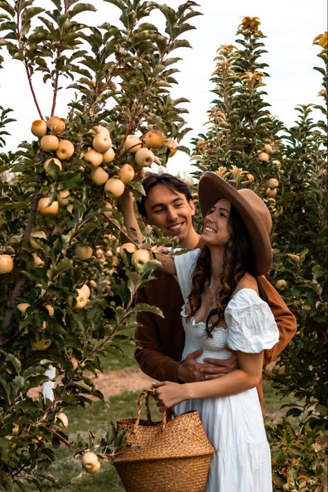 Apple Picking Outfit Couple, Family Apple Picking Photos, Orchard Photoshoot Couples, Peach Orchard Photoshoot, Apple Orchard Couples Photoshoot, Apple Picking Engagement Photos, Couple Apple Picking Pictures, Apple Orchard Photoshoot Couple, Orchard Engagement Photos