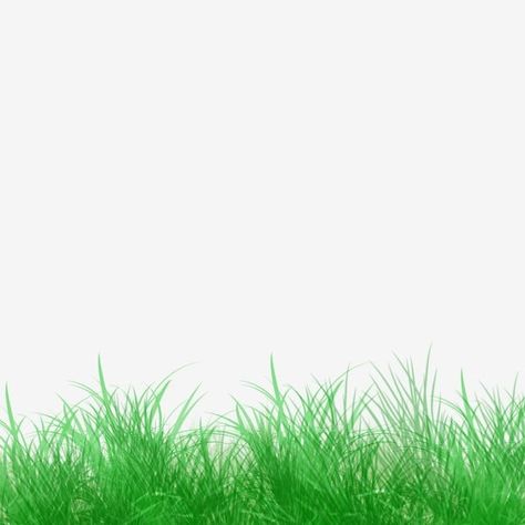 Green Grass Background, Flower Background Iphone, Grass Background, Photoshop Backgrounds Free, Lightroom Presets For Portraits, App Background, Green Screen Background Images, Blur Background Photography, Beach Background Images