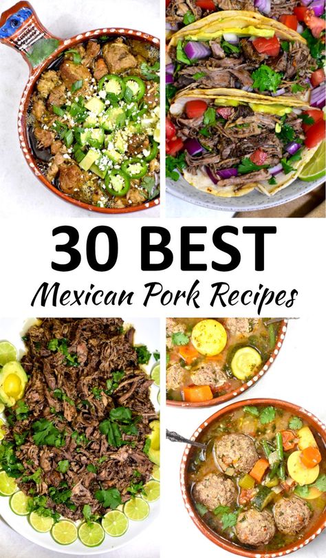 mexican pork recipes pin Mexican Food Pork Recipes, Diced Pork Recipes Mexican, Pork For Stew Recipes, Mexican Pork Roast Recipes, Pork Recipes For Dinner Mexican, Pork Roast Mexican Recipes, Pork Mexican Dishes, Pork Carne Picada Recipes, Pork Taco Meat Recipes