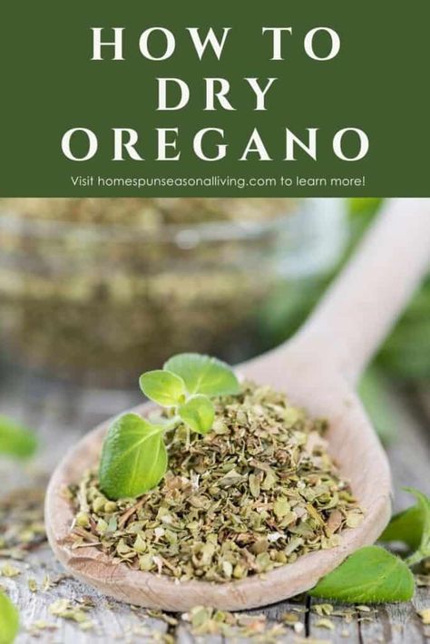 How To Dry Fresh Oregano, Dry Oregano How To, How To Dry Oregano Leaves, Preserve Herbs, Homegrown Herbs, Dry Oregano, Preserve Fresh Herbs, Dehydrating Food Storage, Drying Fresh Herbs