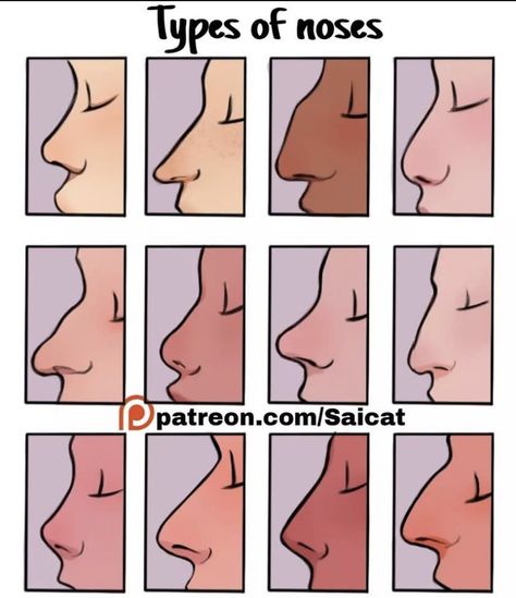 Types Of Noses, الفن الرقمي, Výtvarné Reference, Art Advice, Nose Drawing, Haiwan Lucu, Cool Pencil Drawings, Smink Inspiration, Gambar Figur