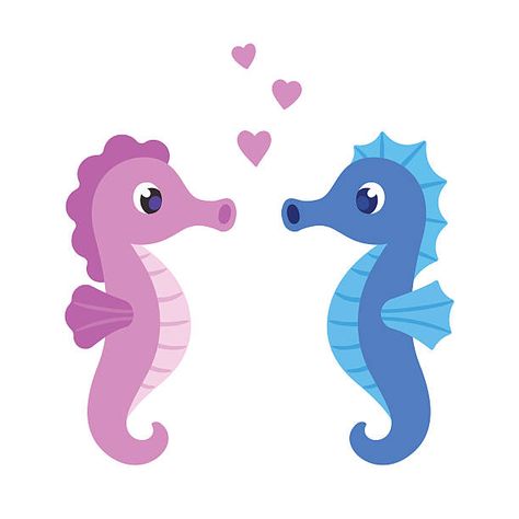 Cartoon Seahorse, Sea Horses Illustration, Seahorse Facts, Seahorse Cartoon, Seahorse Image, Marco Selfie, Seahorse Drawing, San Valentin Vector, Horse Cartoon