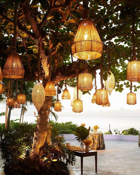 Hanging Lights From Tree, Tree Lanterns Hanging Backyard, Lights On Trees Outside, Tree Lanterns Hanging, Tree With Lanterns, Outdoor Tree Lights, Lanterns Hanging From Trees, Lanterns In Trees, Tree Decorations Outdoor