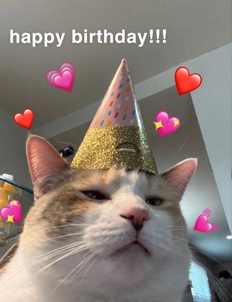 Cat Birthday Wishes, Happy Birthday Animals, Happy Birthday Icons, Happy Birthday Illustration, Funny Happy Birthday Wishes, Birthday Cartoon, Happy Birthday Quotes Funny, Happy Birthday Template, Happy Birthday Posters