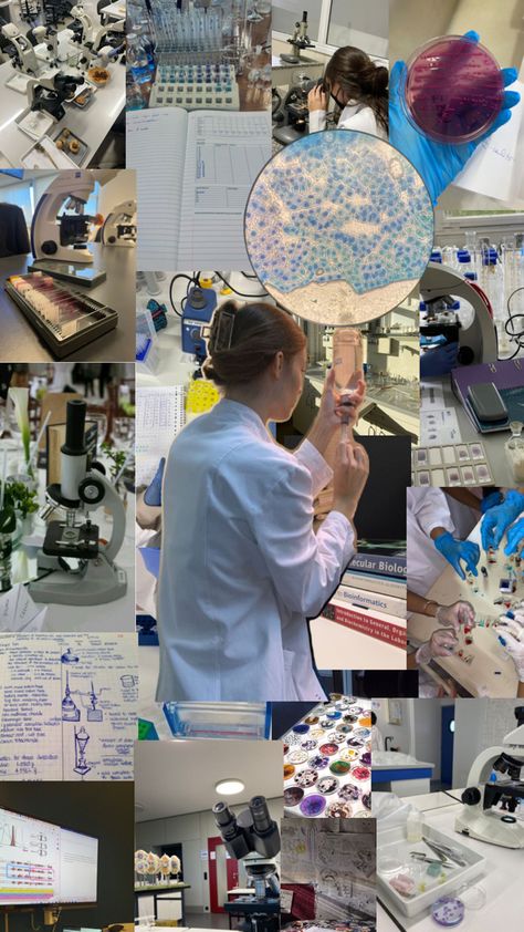 biotechnology girl aesthetic Biotechnology Careers, Collage Board, Vision Board Inspiration, Biotechnology, Dream Board, Dream Job, Study Motivation, Biology, New Era