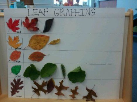 Graphing leaves- great for sorting and leaf identification @ Creative Tots Mason Preschool Leaf Inquiry Kindergarten, Leaf Investigation Preschool, Leaf Investigation, Leaf Activities, Graphing Games, Autumn Preschool Theme, Fall Math Activities, Fall Science, Fall Lesson Plans