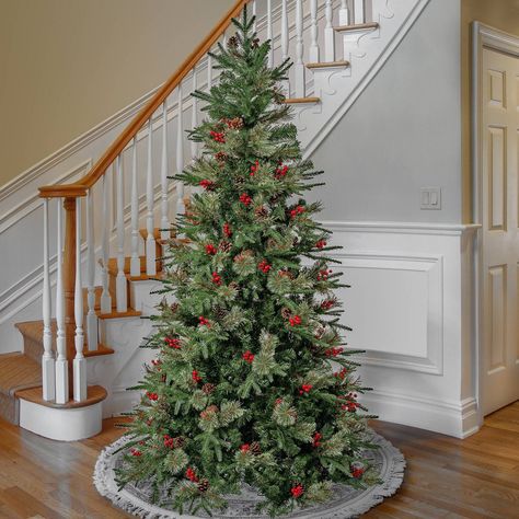 Christmas tree without decorations