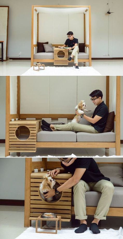 Pet Interior Design, Pet Friendly Coffee Shop, Pet Furniture Design, Pets Furniture, Pet Friendly Hotel, Mini Home Gym, Pet Friendly Furniture, Pet Cafe, Modern Furniture Design