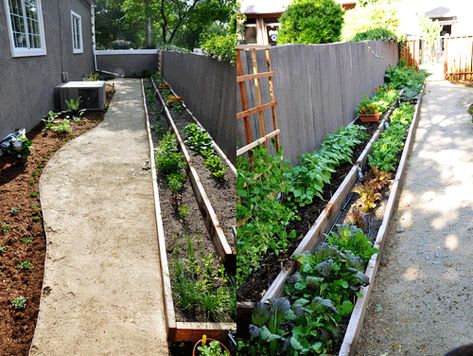 Raised Gardens, Large Backyard Landscaping, Narrow Garden, Backyard Garden Layout, Garden Herbs, Building A Raised Garden, Backyard Garden Landscape, Tiered Garden, Backyard Vegetable Gardens