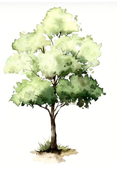 Tree Sketch Watercolor, Watercolor Reference Landscape, Watercolor Oak Tree, Watercolor Trees Landscape, Water Colour Tree, Tree Drawing Watercolor, Trees To Draw, Water Color Trees, Nature Watercolor Paintings