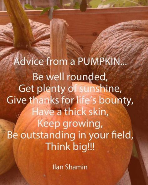 Quote by Ilan Shamir Advice from a pumpkin..be well rounded, get plenty of sunshine, give thanks for life's bounty, have a thick skin, keep growing, be outstanding in your field, think big #inspirational #inspirationalquotes #motivationalquotes #quotesdaily #lifequotes #quotesaboutlife Advice From A Pumpkin, Thick Skin Quotes, Wellbeing Art, Head Quotes, Pumpkin Quotes, Skins Quotes, Class Inspiration, Pastor Appreciation, Thankful Quotes