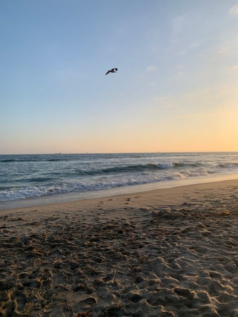 California Ocean Aesthetic, Huntington Beach Aesthetic, Hungtinton Beach California, Beach Aesthetic California, Huntington Beach California Aesthetic, Beach California Aesthetic, California Beach Aesthetic, Marine Kingdom, Songs Aesthetic