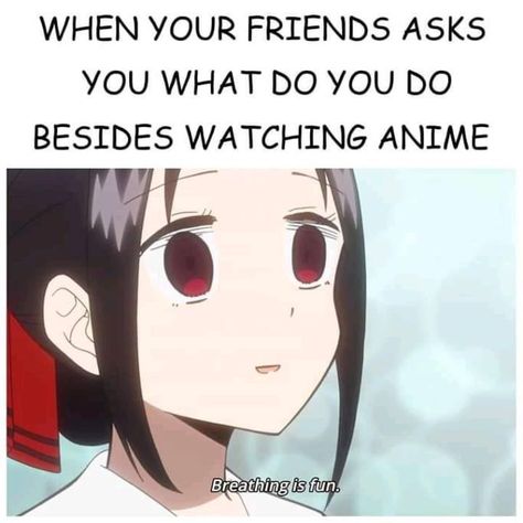 Anime Funny Memes, Funny Anime Memes, Otaku Issues, Anime Mems, Kaguya Sama, Anime Quotes Inspirational, Memes Anime, A Silent Voice, Anime Jokes