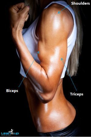 Top 10 Triceps Exercises And Their Benefits Bądź Fit, Spartan Workout, Tone Arms, Women Athletes, Aesthetic Gym, Fitness Aesthetic, Trening Fitness, Toned Arms, Triceps Workout