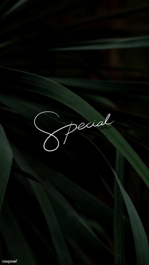 Special text on a leafy background mobile wallpaper | free image by rawpixel.com / Aew Mobile Background Wallpaper, Black And Green Wallpaper, Wallpaper Backgrounds Green, Iphone Wallpaper Dark, Leafy Background, Green And Black Background, Pose Mode, Photo Frame Images, Pink Neon Lights