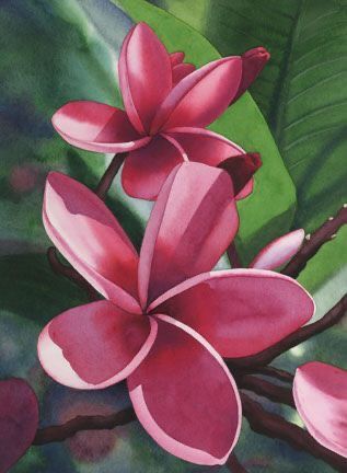 Plumeria Watercolor, Polynesian Art, Watercolor Workshop, Art Tutorials Watercolor, Florida Art, Island Art, Watercolor Flowers Paintings, Floral Artwork, Water Painting