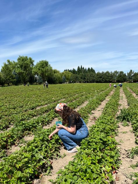 Picking Fruits Aesthetic, Farm Outfit Women Aesthetic, Picking Strawberries Aesthetic, Strawberry Picking Outfit Aesthetic, Farm Summer Aesthetic, Fruit Picking Aesthetic, Strawberry Fields Aesthetic, Berry Picking Outfit, Berry Picking Aesthetic