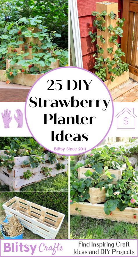 Raised Strawberry Beds, Diy Strawberry Planter, Strawberry Planter Ideas, Strawberry Trellis, Wooden Strawberry, Strawberry Planters Diy, Growing Strawberries In Containers, Strawberries In Containers, Strawberry Planter