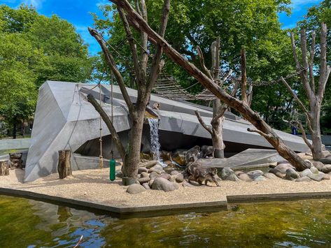 Modern baboon habitat at ARTIS Amsterdam Zoo with visitors Zoo Habitats, Amsterdam Attractions, Zoo Inspiration, Butterfly Pavilion, Zoo Ideas, City Zoo, Minimalist Travel, Baboon, Primates