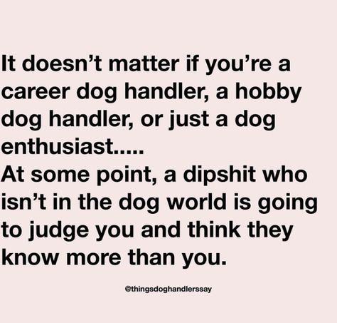 Dog Training Quotes, Animal Rescue Quotes, K9 Handler, K9 Police Dogs, Dog Infographic, K9 Police, Training Quotes, Dog Facts, Police Dogs