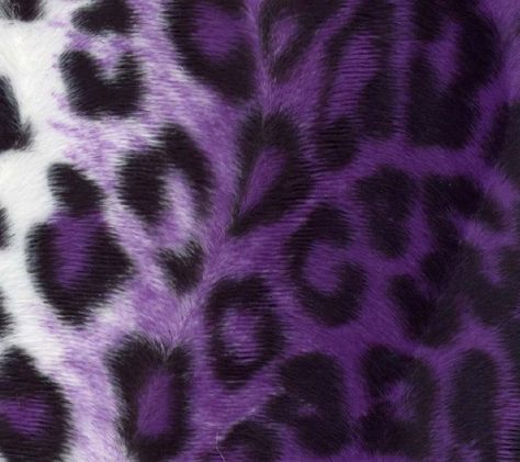 . Howleen Wolf, Catty Noir, Lavender Aesthetic, Mazzy Star, Monster High Characters, Purple Leopard, Purple Girls, Images Esthétiques, All Things Purple