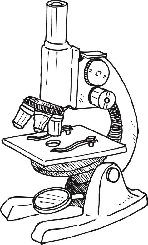 Microscope Drawing With Parts, Compound Microscope Drawing Easy, How To Draw Microscope, Compound Microscope Drawing With Label, Compound Microscope Drawing, Microscope Drawing Easy, Microscope Drawing With Label, Microscope Sketch, Microscope Drawing