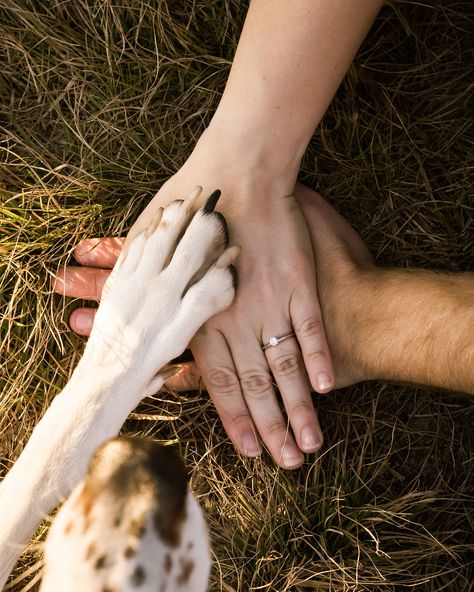 Engagement Announcement Ideas With Dogs, Engagement Nails For Pictures, Puppy Engagement Proposal, Engagement Announcement Photos With Dog, Couple Engagement Pictures With Dog, Engagement Photos With Dogs Fall, Save The Date Photo Ideas With Dog, Pre Wedding Shoot With Dog, Western Engagement Pictures With Dogs