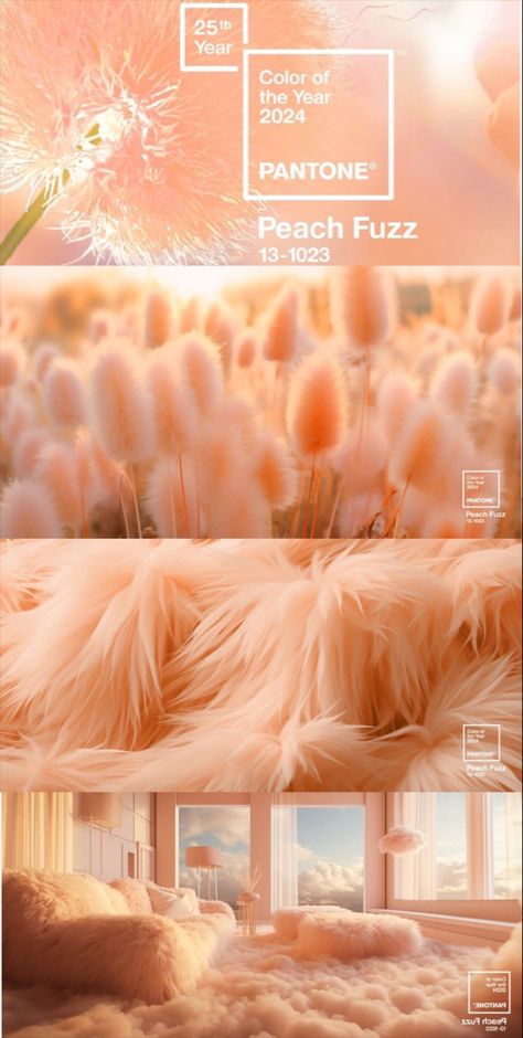 Peach Pantone 2024, Color Of 2024 Pantone, Pantone Color 2024 Peach Fuzz, 2024 Peach Fuzz, Trend Color Palette 2024, 2024 Aesthetic Trends, Peach Fuzz Pantone 2024 Wedding, Pantone Colour Of The Year 2024, 2024 Color Of The Year Pantone