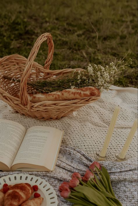 Picnic Styled Shoot, Picnic Set Up Photoshoot, Styled Picnic Photoshoot, Fall Theme Family Photoshoot, Book Picnic Photoshoot, Cottagecore Picnic Photoshoot, Picnic Blanket Photoshoot, Cake Picnic Photoshoot, Romantic Picnic Photoshoot