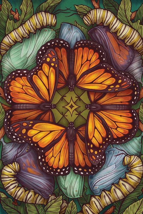 Prepare for change with a ritual and reflection inspired by the transformation of the Monarch Butterfly from Maia Toll’s THE ILLUSTRATED BESTIARY. Illustration by Kate O'Hara. #MonarchButterflies #Mindfulness #WildWisdom Monarch Butterflies Art, Metamorphosis Art, Butterfly Metamorphosis, Butterfly Puzzle, Art Papillon, Butterfly Artwork, Butterfly Illustration, Butterfly Drawing, Nature Drawing