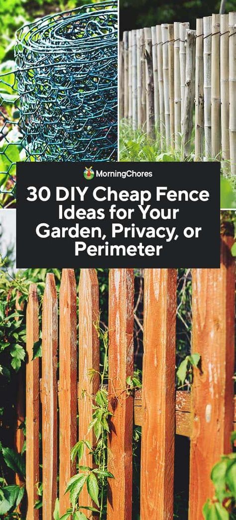 30 DIY Cheap Fence Ideas for Your Garden, Privacy, or Perimeter Diy Cheap Fence, Diy Fence Ideas Cheap, Cheap Fence Ideas, Fences Alternative, Cheap Privacy Fence, Cheap Garden Fencing, Diy Backyard Fence, Diy Privacy Fence, Fence Options