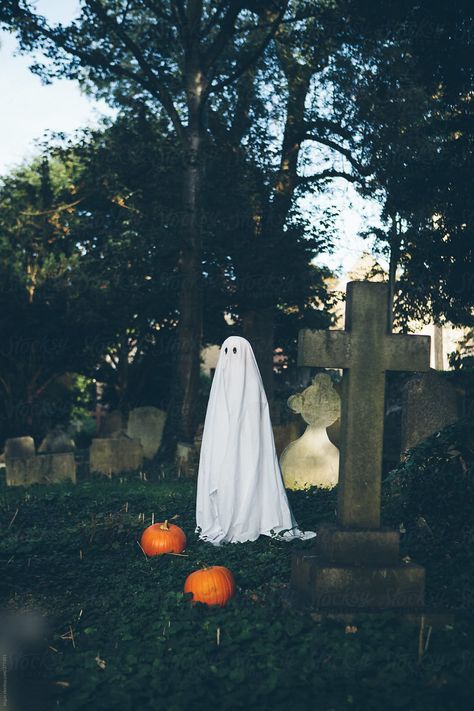 Little boy in halloween ghost costume in a graveyard by kkgas - Stocksy United Vintage Ghost Costume, Ghost In Graveyard, Butterfly Terrarium, Ghost Film, Sheet Ghosts, Halloween Ghost Costume, Ghost Aesthetic, Ghost Photo, Ghost Photoshoot