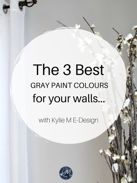 The 10 Best Paint Colors to Go With Marble - Kylie M Interiors Sherwin Williams Classic Gray, Revere Pewter Color Scheme, Big Chill Sherwin Williams, Sherwin Williams Big Chill, Colonnade Gray, Benjamin Moore Grey Owl, Kylie M Interiors, Benjamin Moore Classic Gray, Best Gray Paint