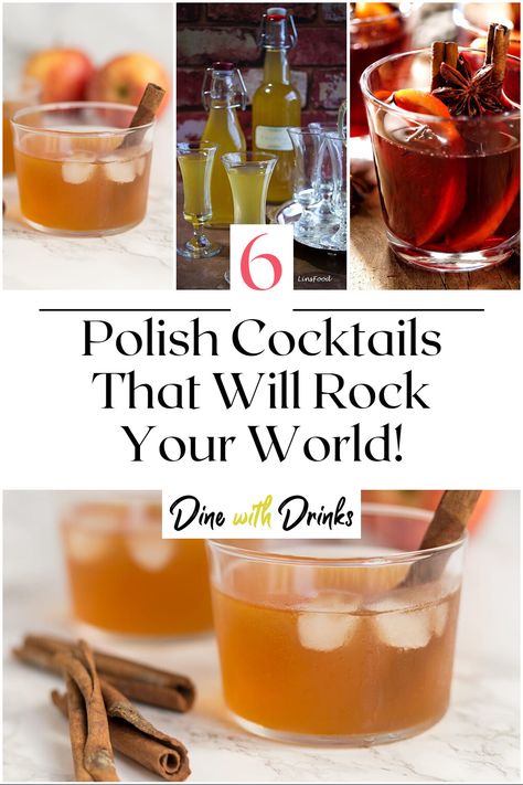 Collage of 4 polish cocktails. Polish Cocktail Recipes, Polish Alcoholic Drinks, Polish Cocktails, Polish Drinks, Vodka Mixed Drinks, Polish Vodka, Vodka Mixes, Whisky Drinks, Best Drinks