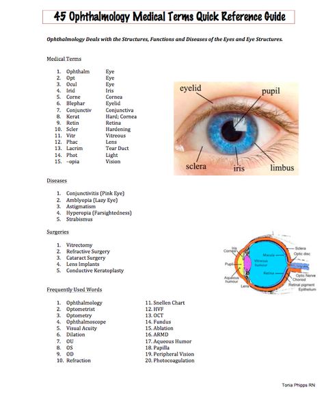 Easy Medical Terminology : Oculoplasty - Free PDF Ophthalmology (EYE) Reference Card Opthalmic Technician, Optician Training, Eye Health Facts, Optometry Education, Medical Terminology Study, Eye Reference, Medical Mnemonics, Certified Medical Assistant, Eye Facts