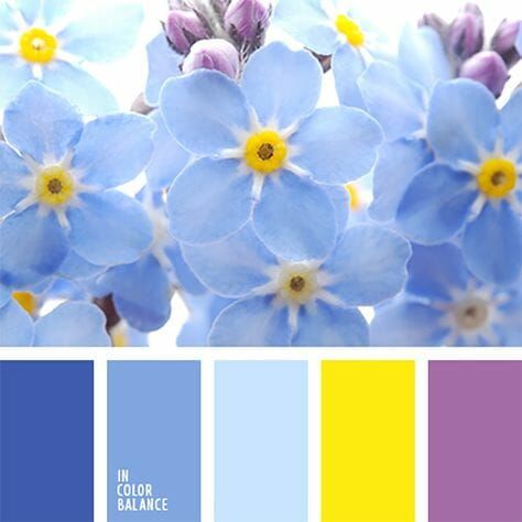 Spring 2020 Color Combinations for Decor Inspiration gathered by CountyRoad407.com #2020color #colorideas #colorinspiration #colordecorinspo #countyroad407 Color Pallets With Yellow, Spring Pallete Color, Yellow Combination Color, Pallete Color Blue, Flower Color Combinations, Pallets Color, Palettes Color, Combination Color, Color Schemes Colour Palettes