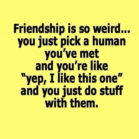 "Friendship is so weird...you just pick a human you've met and you're like, 'yep, I like this one,' and you do stuff with them." ;) Quotes Loyalty, Short Friendship Quotes, Good Quotes, Fina Ord, Best Friend Poems, Best Friendship Quotes, Friendship Humor, Quotes Friendship, Minion Quotes