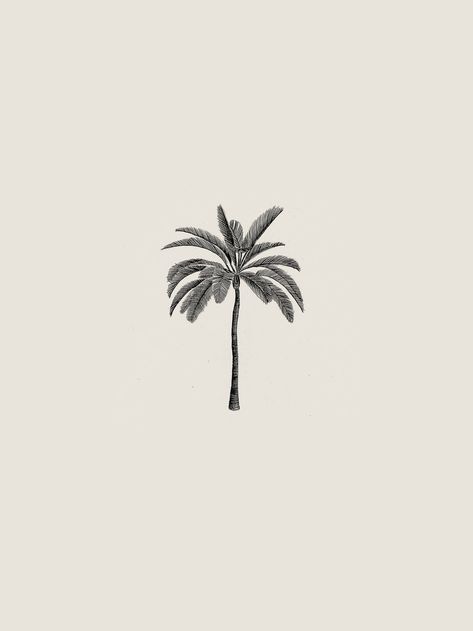 Palm Tree Art Print, Palm Tree Illustration Design, Little Palm Tree Tattoo, Palm Tree Branding, Palmtrees Illustration, Palms Drawing, Palms Tattoo, Palm Tree Tattoo Design, Palms Illustration