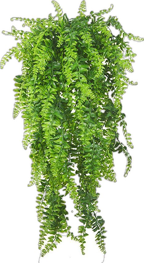 Plants Vines, Hanging Ferns, Fake Hanging Plants, Artificial Hanging Plants, Fake Plants Decor, Boston Fern, Hanging Plant Wall, Garden Vines, Ivy Plants