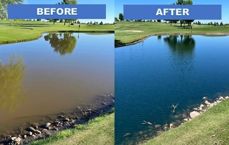 Pond dye can improve the aesthetics of a backyard pond, golf course pond, community pond or even a farm pond Farm Pond Ideas, Farm Pond, Pond Maintenance, Family Backyard, Backyard Pond, Water Issues, Small Water Features, Pond Landscaping, Natural Pond