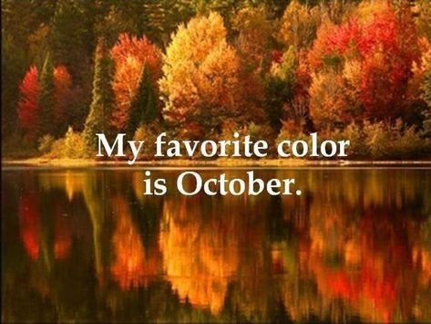 My favorite color is October... Winter Gif, Fall Lovers, Lev Livet, Romans 12, Autumn Scenery, Bible Scripture, Autumn Beauty, Best Seasons, Favorite Season