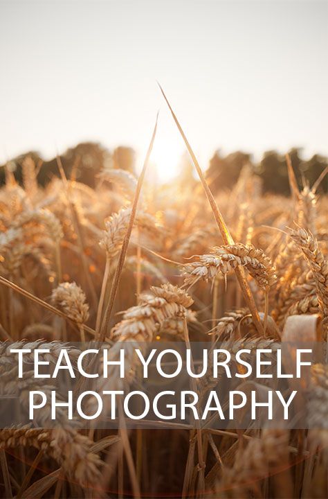 A look at the most important things to study when starting to learn photography, and how to ensure this learning sinks in. Start Photography, Word Photography, Photography Instruction, Photographie Art Corps, Beginner Photography, Digital Photography Lessons, Photography Cheat Sheets, Camera Tips, Fotografi Digital