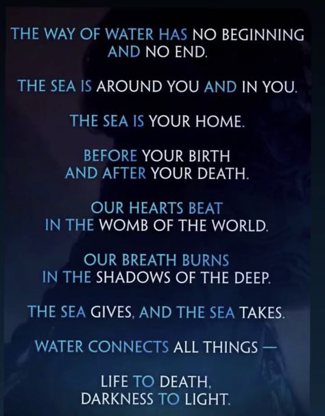 Avatar Quotes Wallpaper, Avatar The Way Of Water Language, Avatar Way Of Water Quotes, Avatar Navi Words, Na’vi Language Avatar, Avatar The Way Of Water Names, Avatar 2 Quotes, Avatar Na'vi Cosplay, Avatar Navi Language